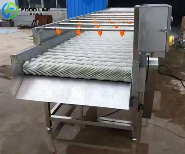bristle roller washer