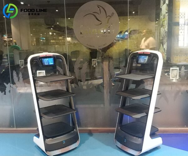 efficient food delivery robot