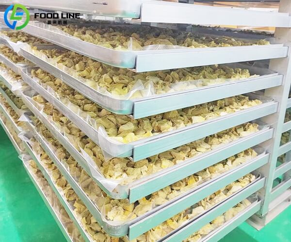 freeze drying machine product