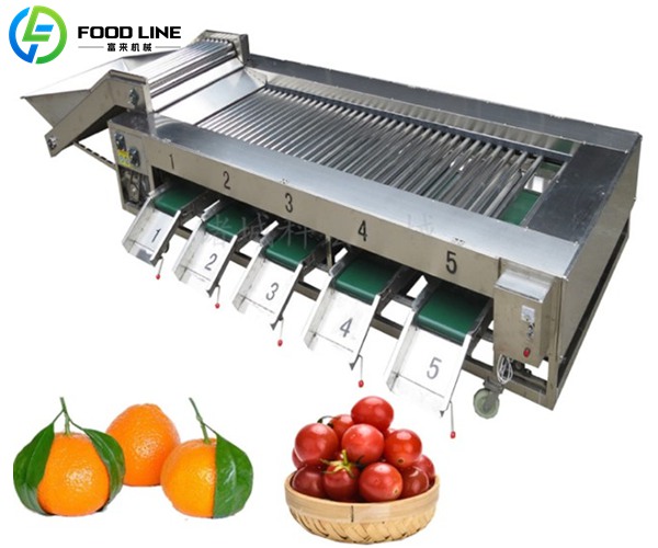 fruit and vegetable grading equipment