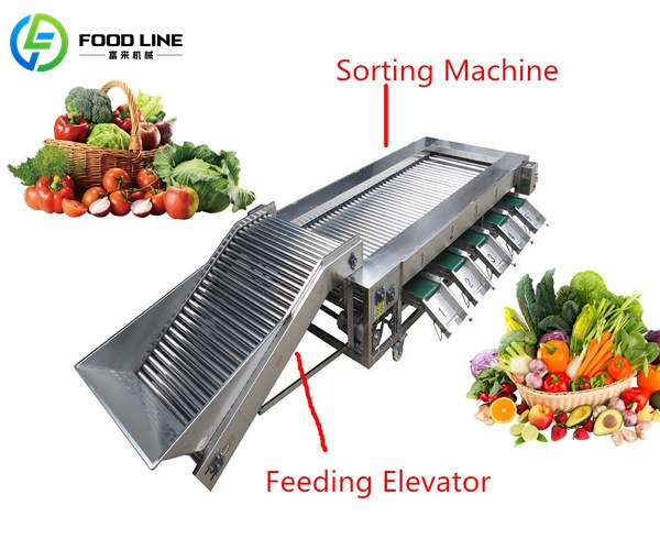 fruit and vegetable quality grader