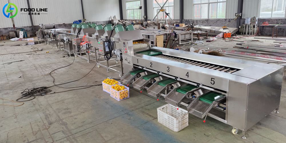 fruit and vegetable sorting equipment