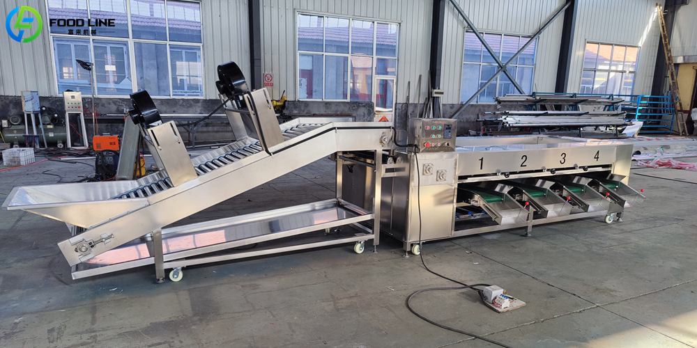 fruit and vegetable sorting grading machine