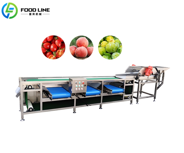 fruit and vegetable sorting machine