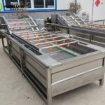 fruit and veggie bubble washing machine