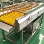 inline brush roller washing machine