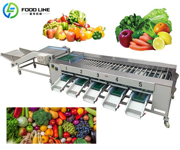 produce sorting machine