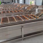 professional fruit vegetable bubble washing machine