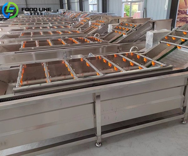 professional fruit vegetable bubble washing machine