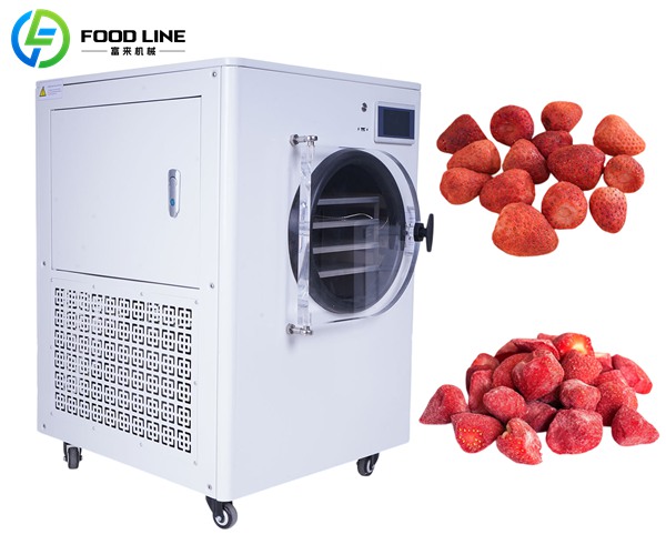 small freeze dryer machine household