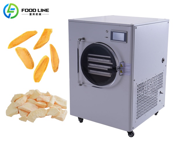 small home freeze drying equipment