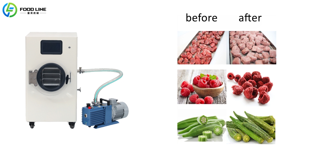 small household freeze drying equipment