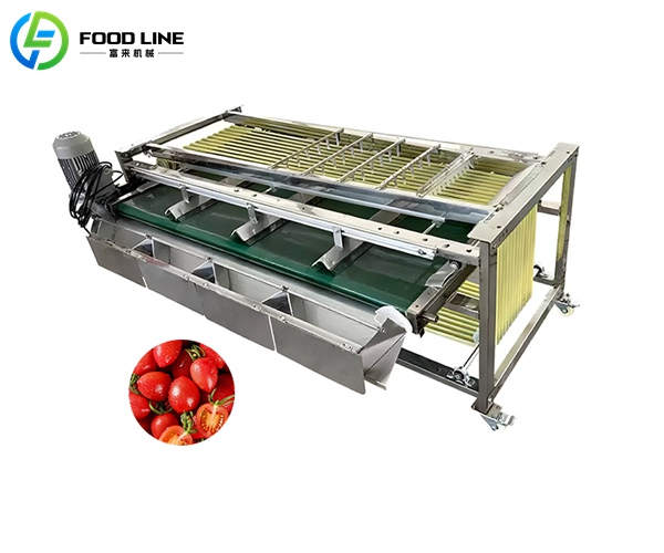 sorting machine for fruit