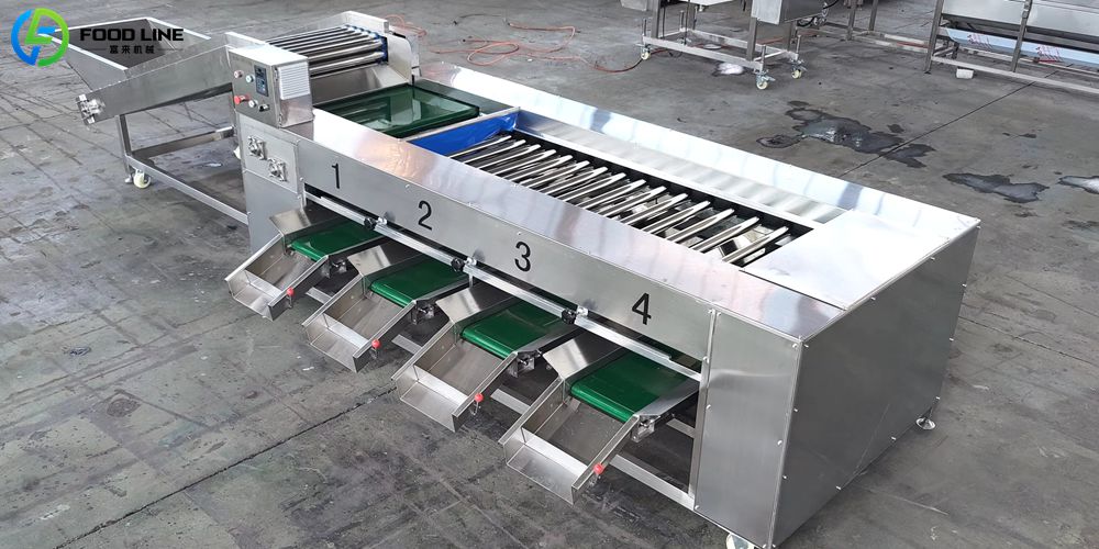sorting machine for vegetable and fruit