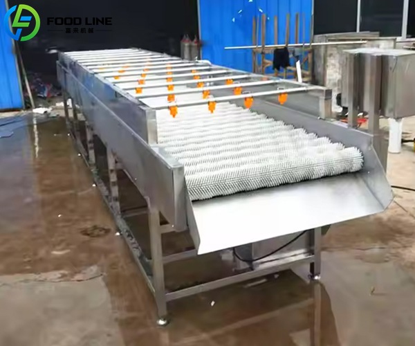 vegetable and fruit brush roller washer
