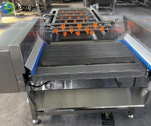 vegetable fruit bubble washing machine