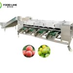 vegetable fruit sorting machine