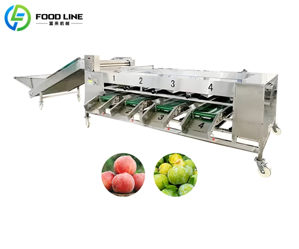 vegetable fruit sorting machine
