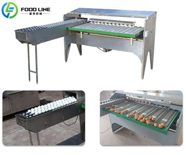 affordable commercial egg grading machine