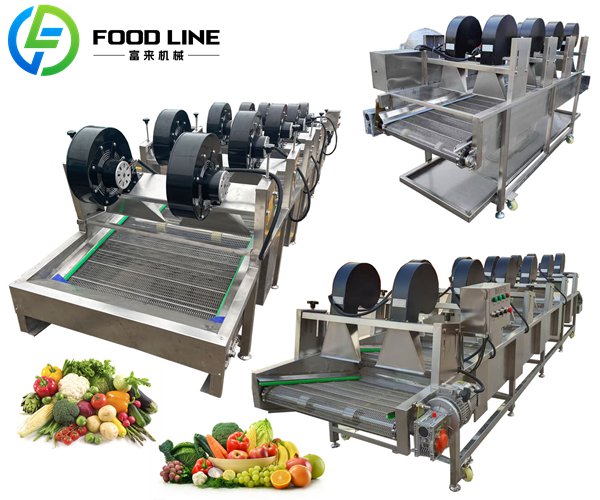 air drying equipment for fruits and vegetable dewatering