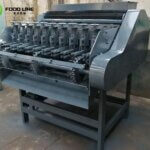 automatic cashew shelling machine