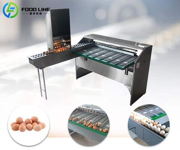automatic egg grader machine small scale