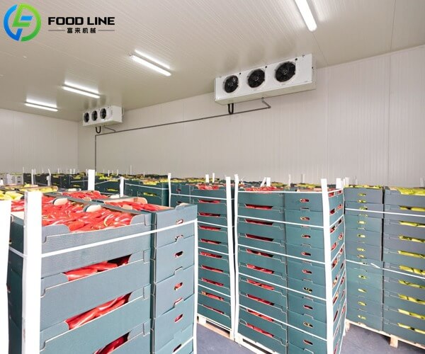 cold storage room with shelving for preservation