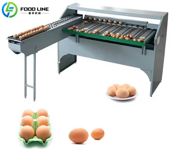 compact commercial egg grading system