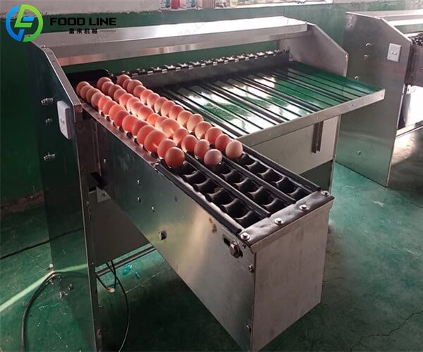 egg sorting machine price
