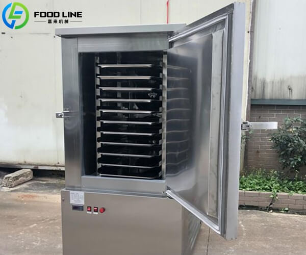 flash freezer for french fries