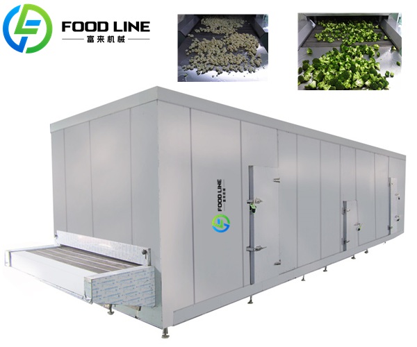 food tunnel instant freezer