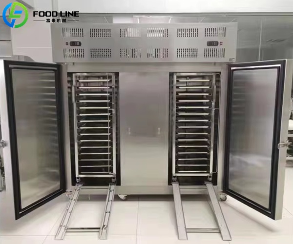 french fries flash freezer machine