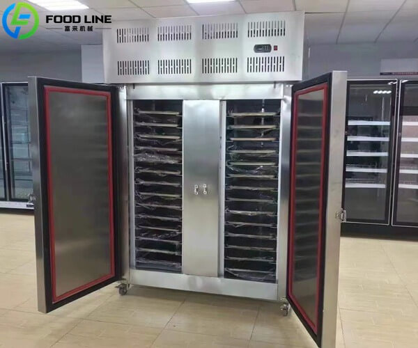 frozen french fries freezer equipment