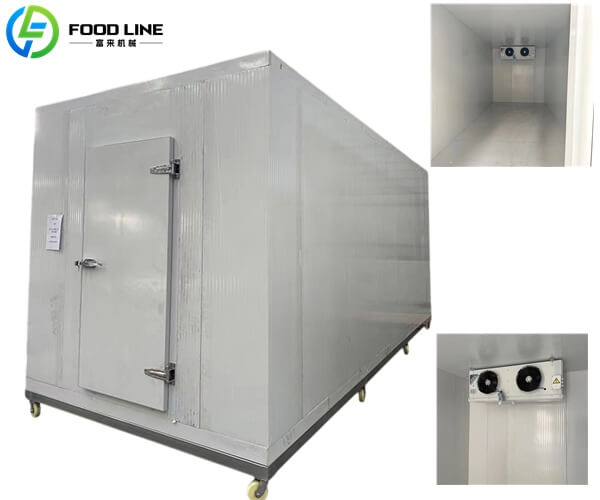 industrial cold room container