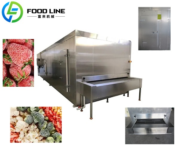 iqf blast tunnel freezer