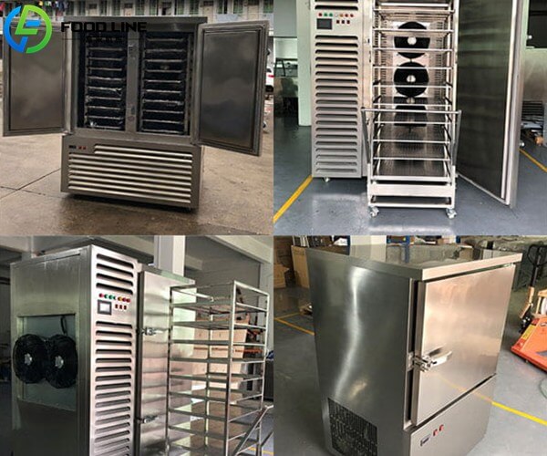 multiple model french fries freezer