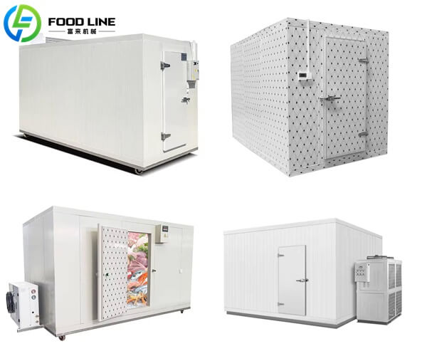 multiple size low temperature cold room