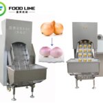 onion peeling equipment
