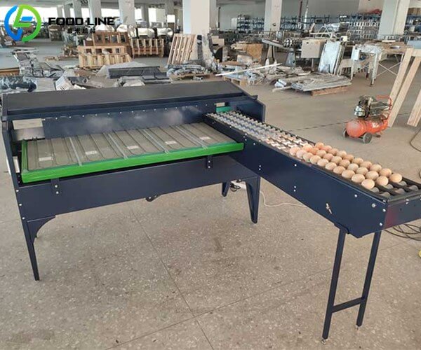 small scale automatic egg grader