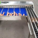 small scale egg classification machine automatic