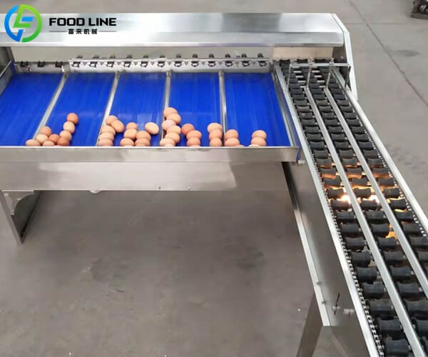 small scale egg classification machine automatic