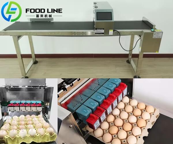 6 printhead egg coding printer