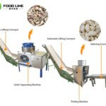 Garlic Peel Machine Line for Sale: Clean Peeled Garlic Cloves automatic garlic peeling production line