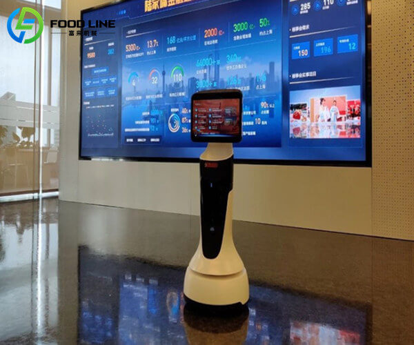 customer service receptionist robot