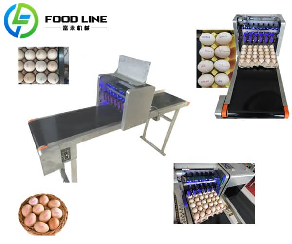 egg inkjet coding machine for sale
