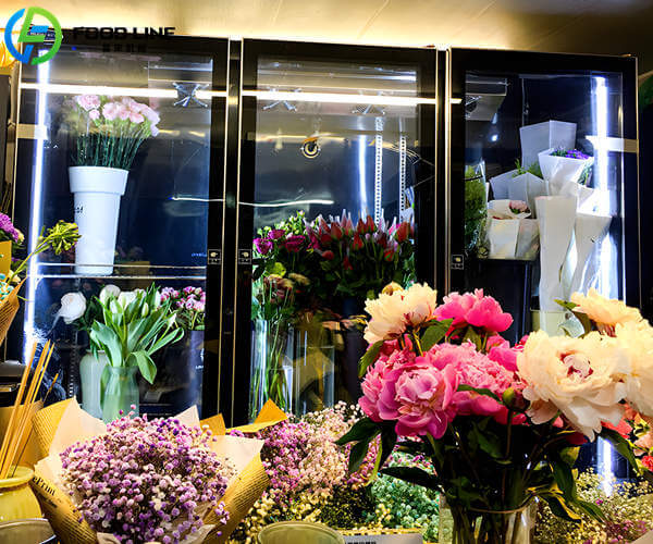 flower chiller for display and storage