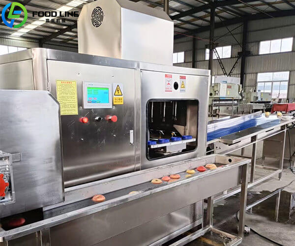 fruit core removing machine for apple peach plum