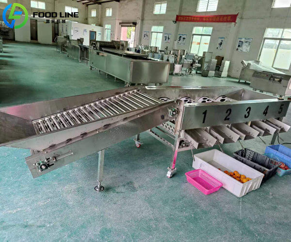 apple sorting machine success in mexico