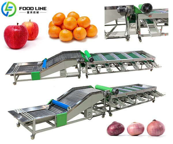 automtic fruit sizer apple grading machine