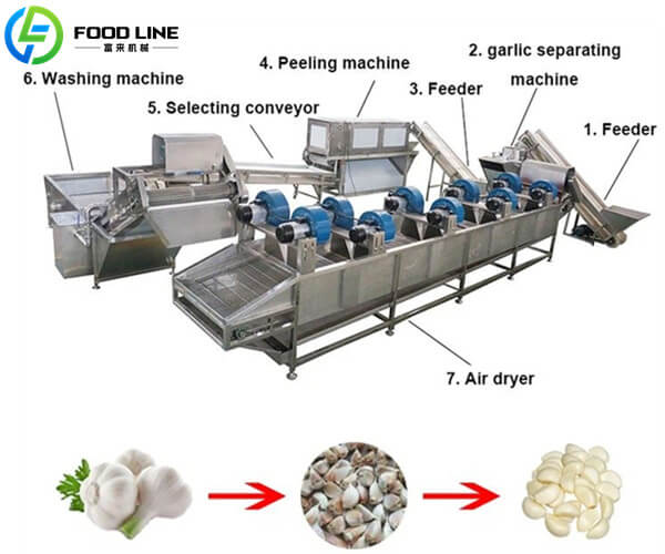 complete industrial garlic peel machine line